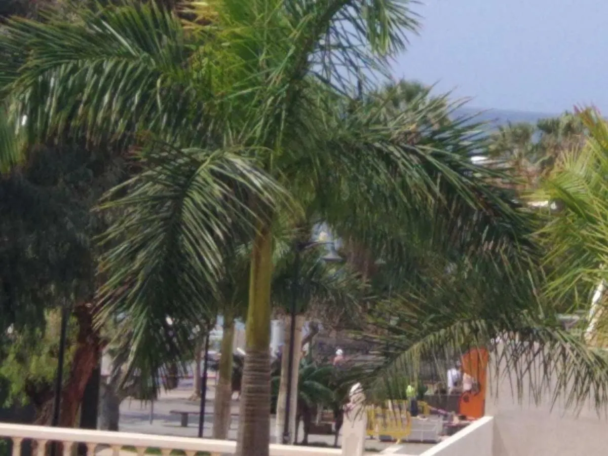 Crisol Del Sur Apartment Arona   Arona (Tenerife)