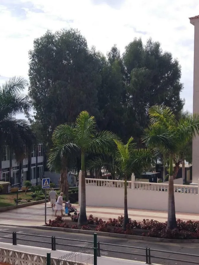 Crisol Del Sur Apartment Arona   Arona (Tenerife)